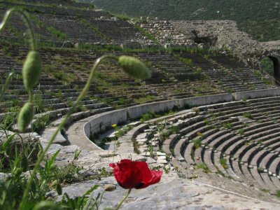 Theatre at Ephesus
